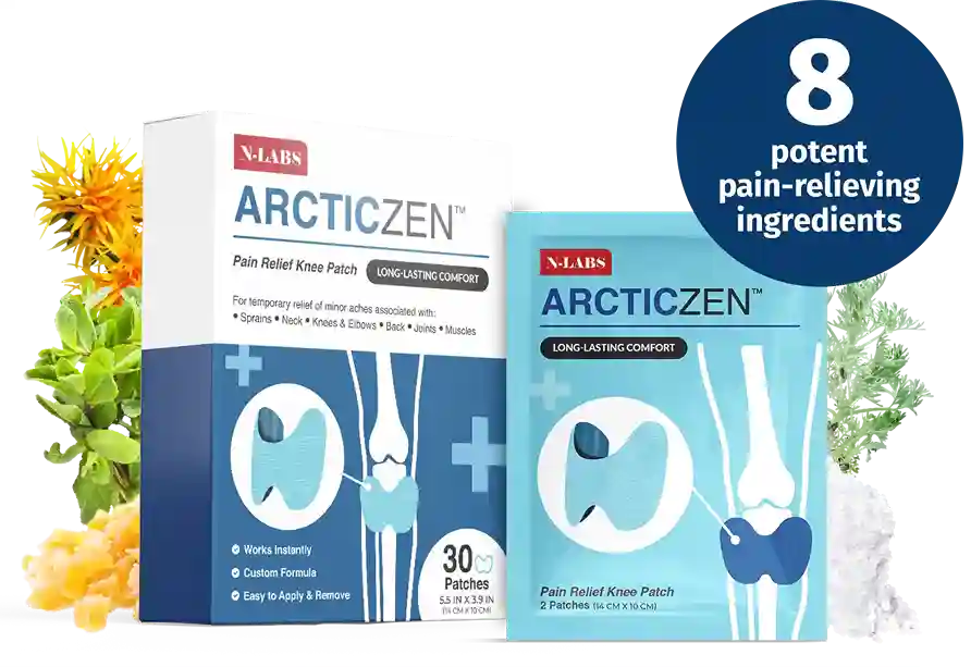 ArcticZen